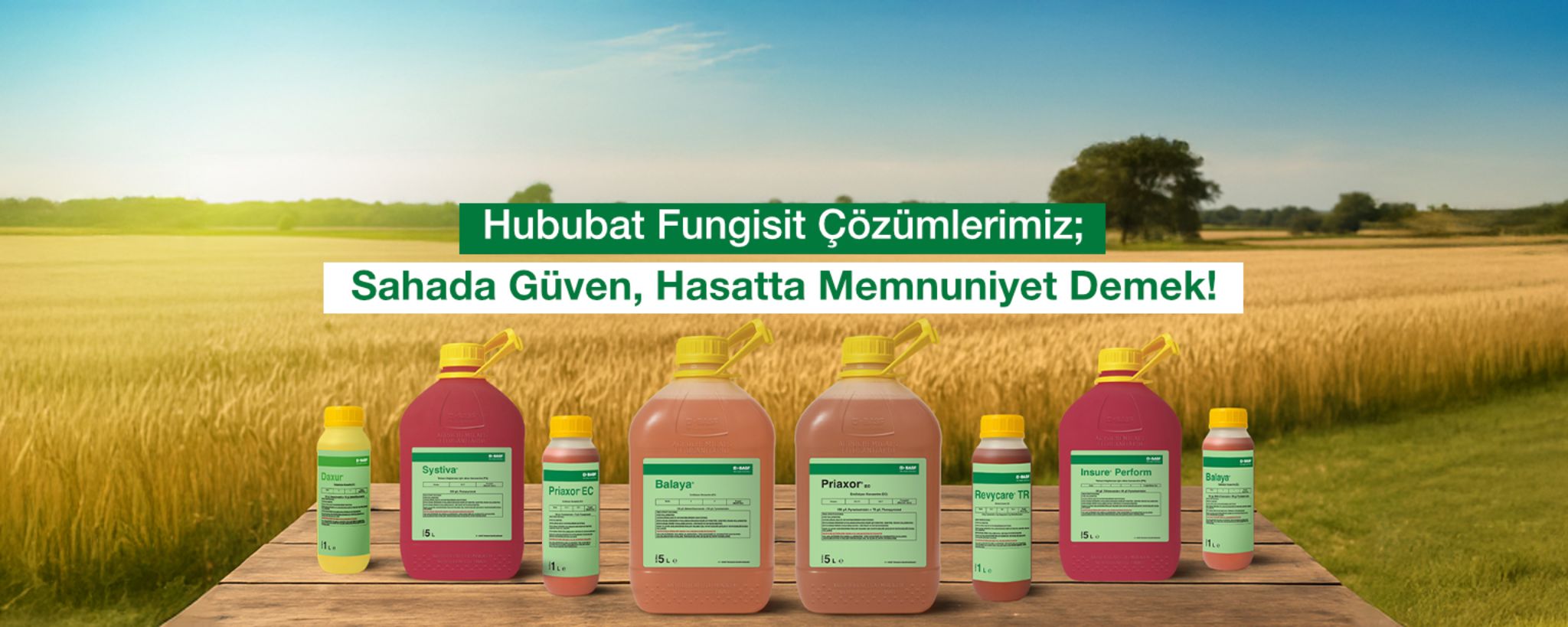 Hububat